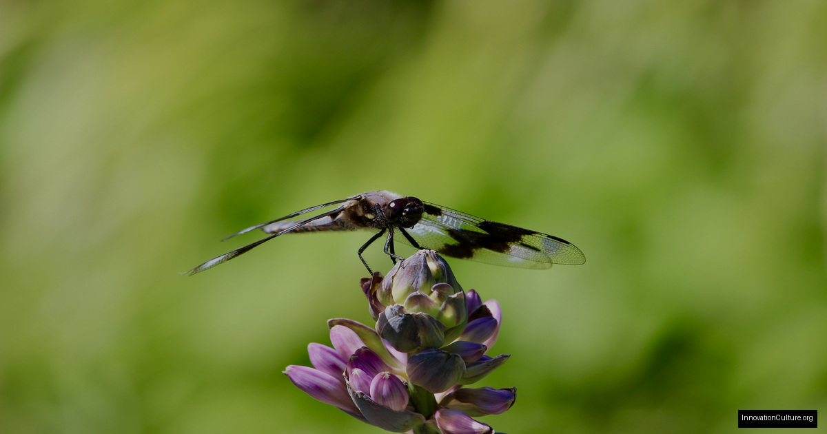 Transforming Culture: The Soil of Organizational Change